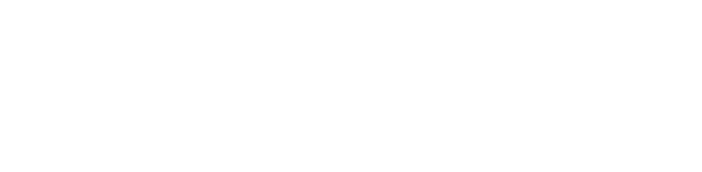 Solace Terminal Logo